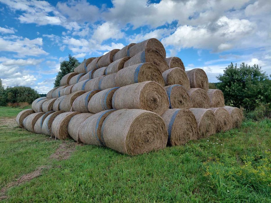 Sprzedam siano w belach