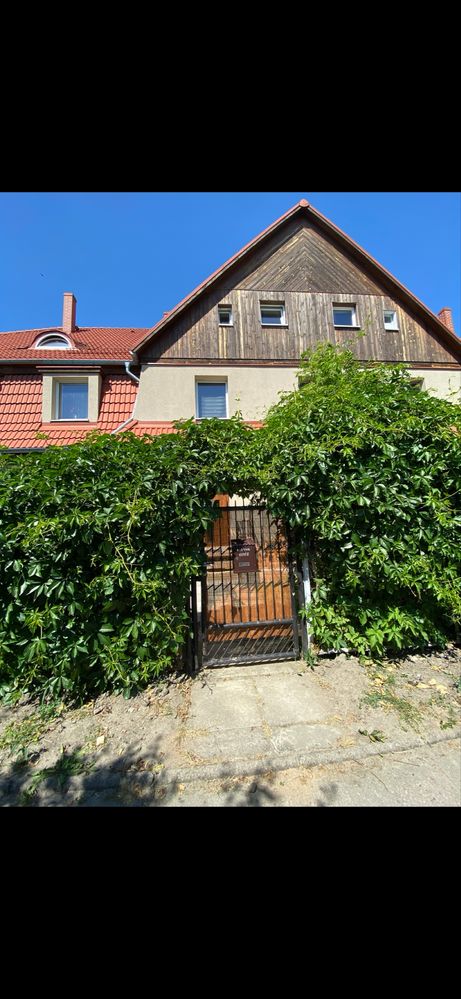 Kawalerka z ogrodem do wynajecia
