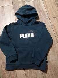 Bluza Puma 140 9-10 lat