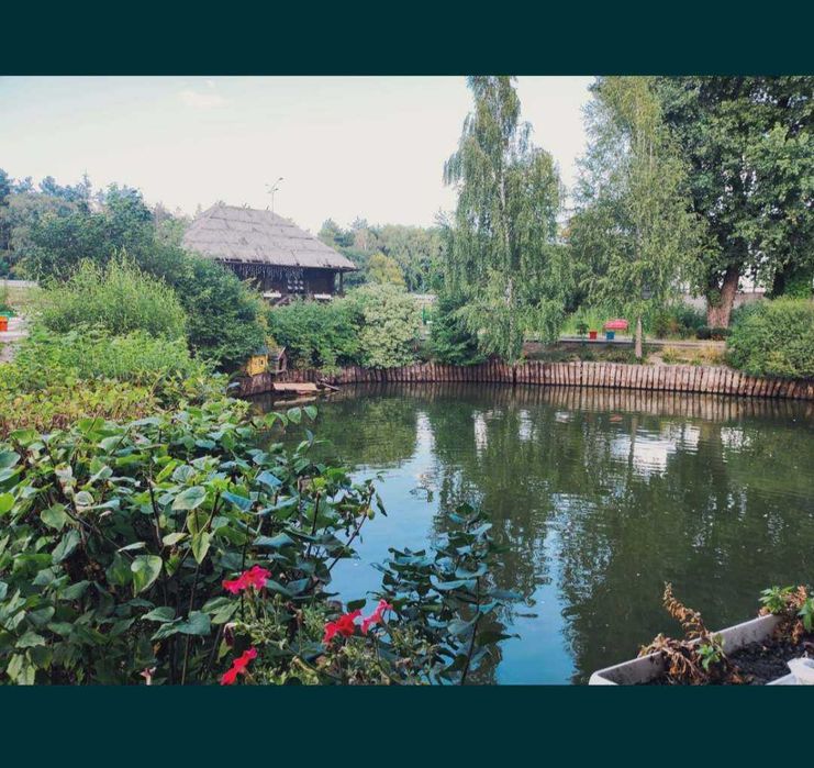 Ресторан на фасаді траси Київ - Бориспіль с. Шасливе