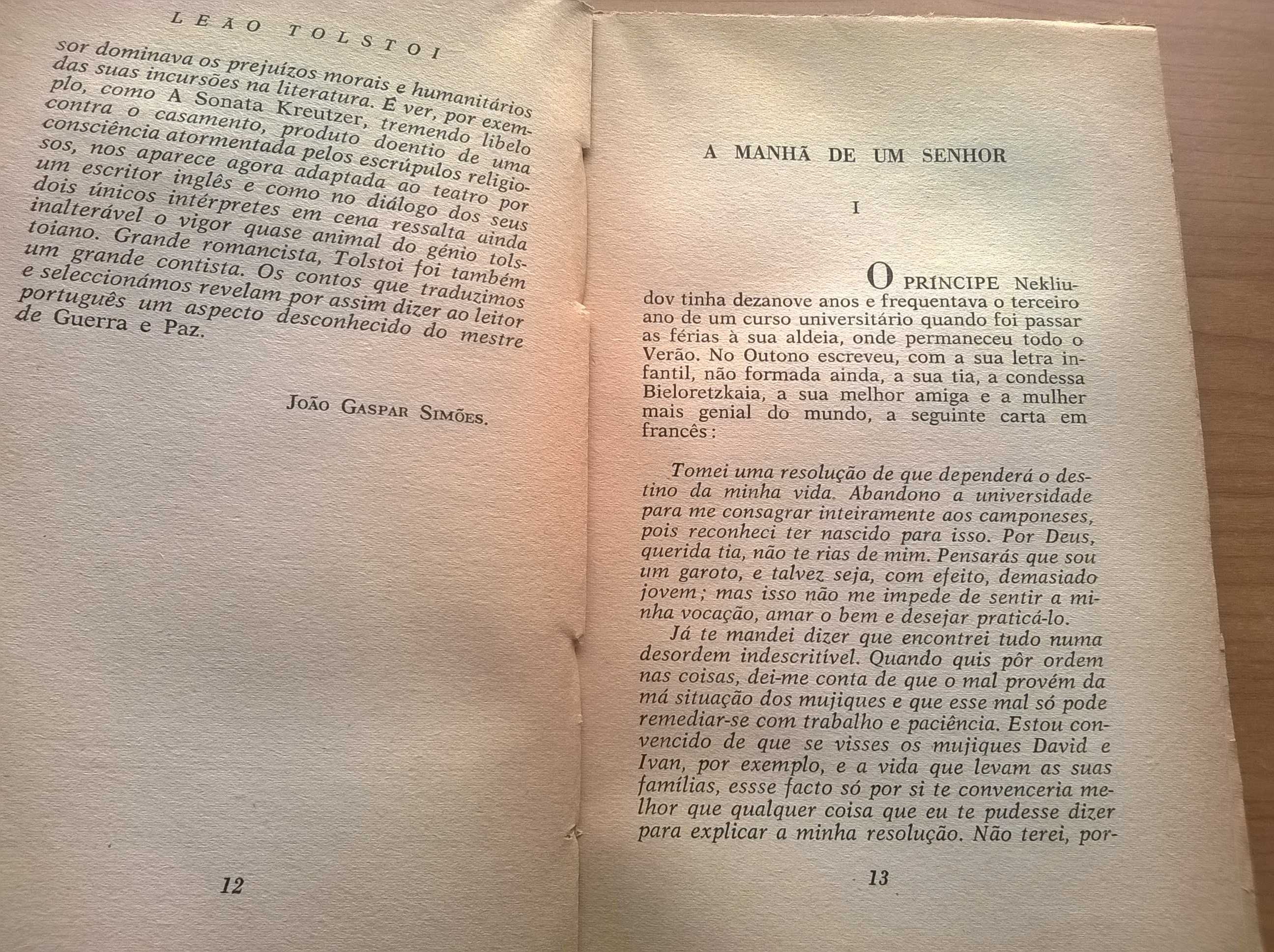 A Manhã de um Senhor - Leão Tolstoi