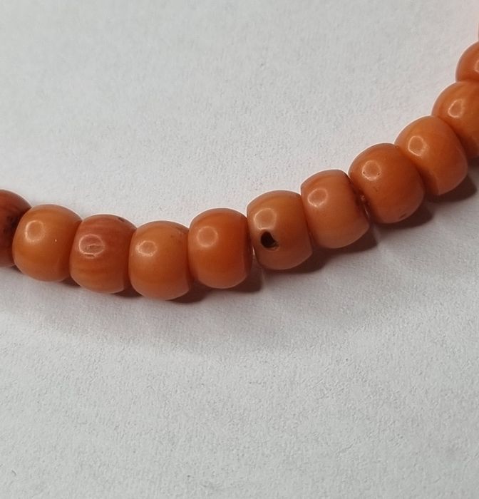 Koral naturalny jarzębina