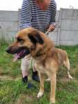 Kubuś poleca się do adopcji!