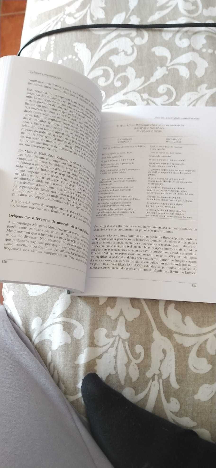 Culturas e Organizações - Compreender a nossa programação mental
