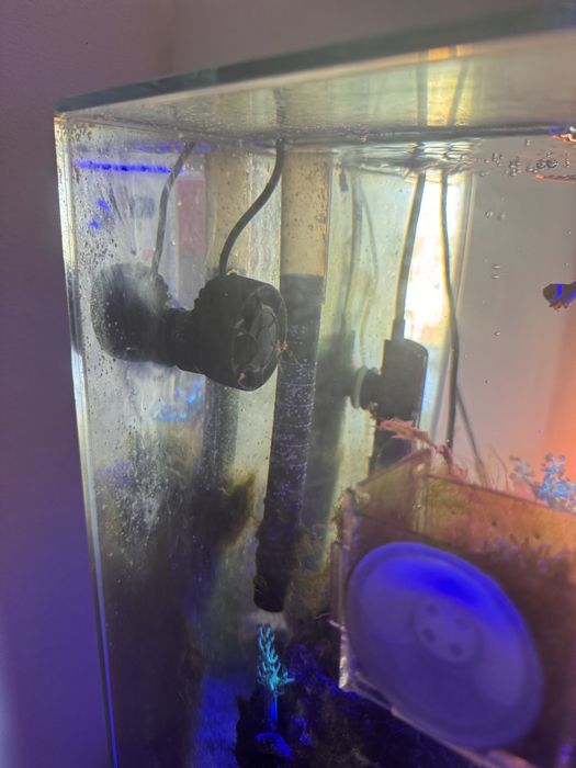 Aquario fluval edge 42litros