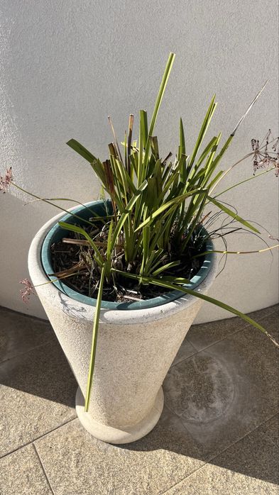 Vaso redondo em pedra – excelente estado