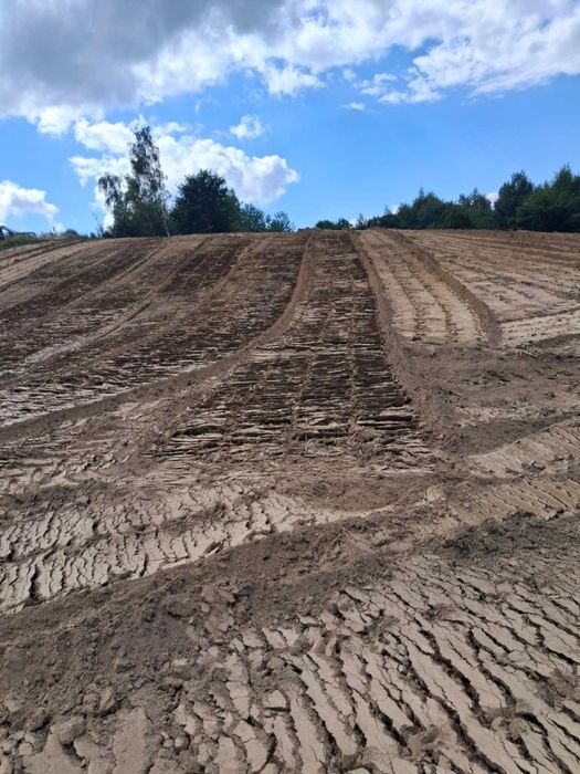 Mulczowanie,wycinki samosiejek,krzaków i zarośli.