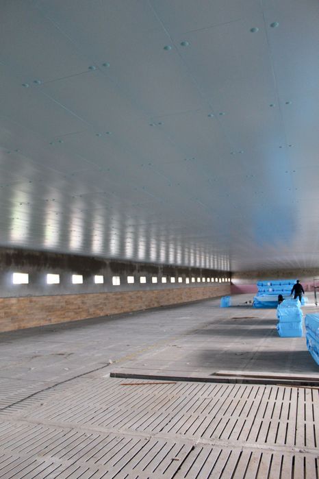 Podbitka Strop do Obory Chlewni Kurnika Pianka Piana Styrodur XPS AGRO