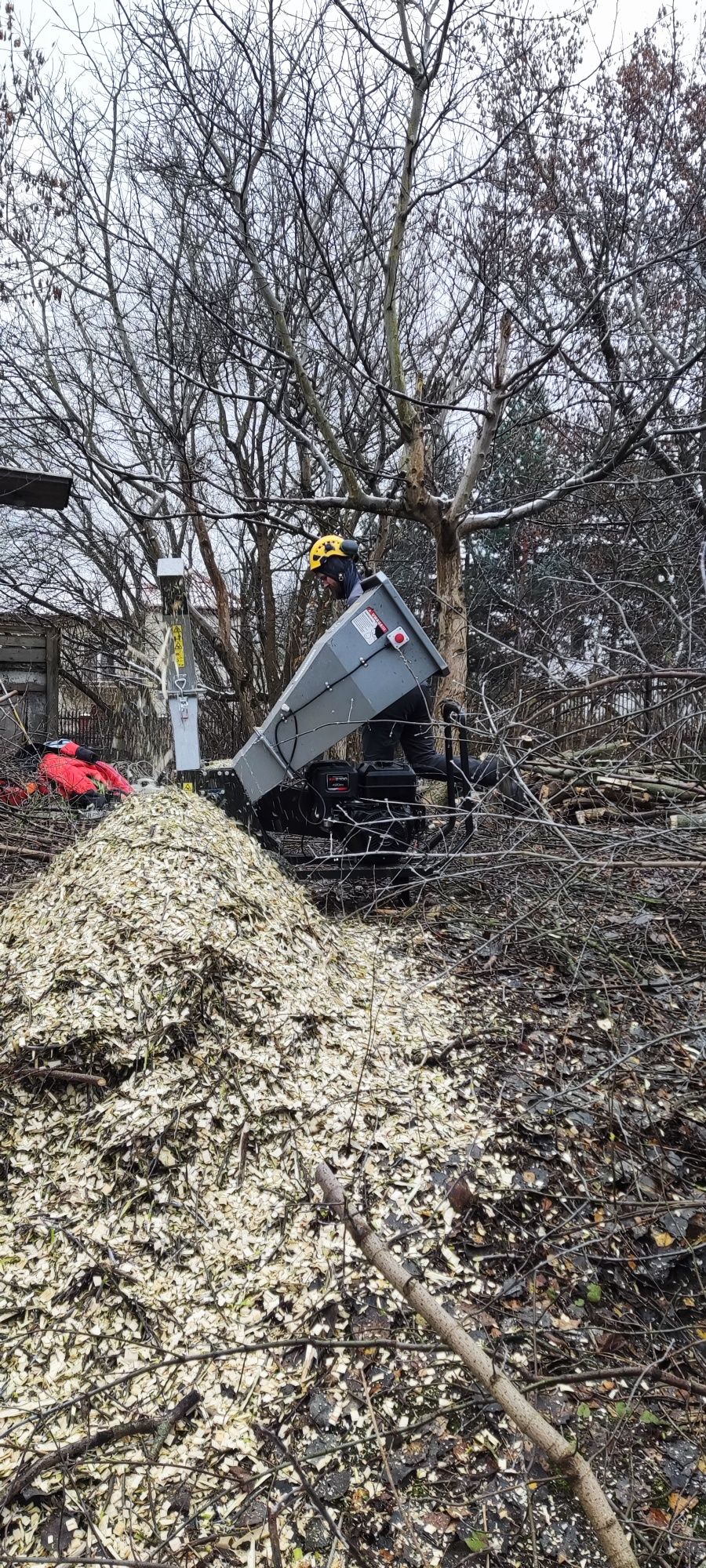 Wycinka drzew, czyszczenie działek - tanio i dobrze!