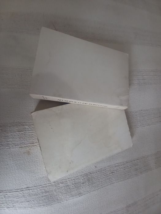 António Sebastião Ribeiro de Spínola