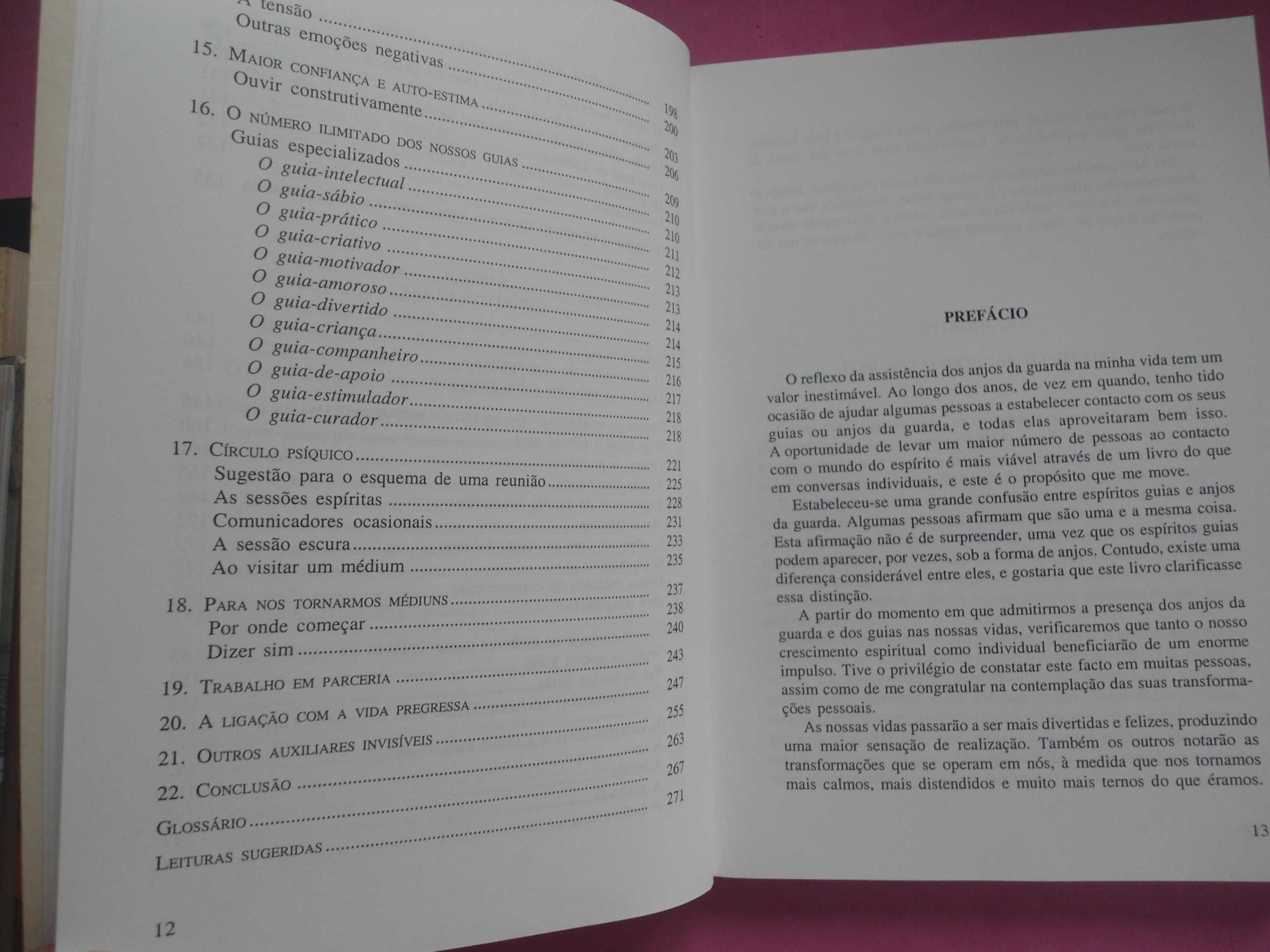 Espíritos Guias e Anjos da Guarda por Richard Webster