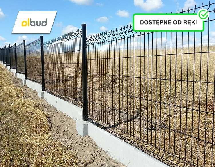 Panel ogrodzeniowy 3D 1230 fi4 grafit RAL7016 1mb- Tczew