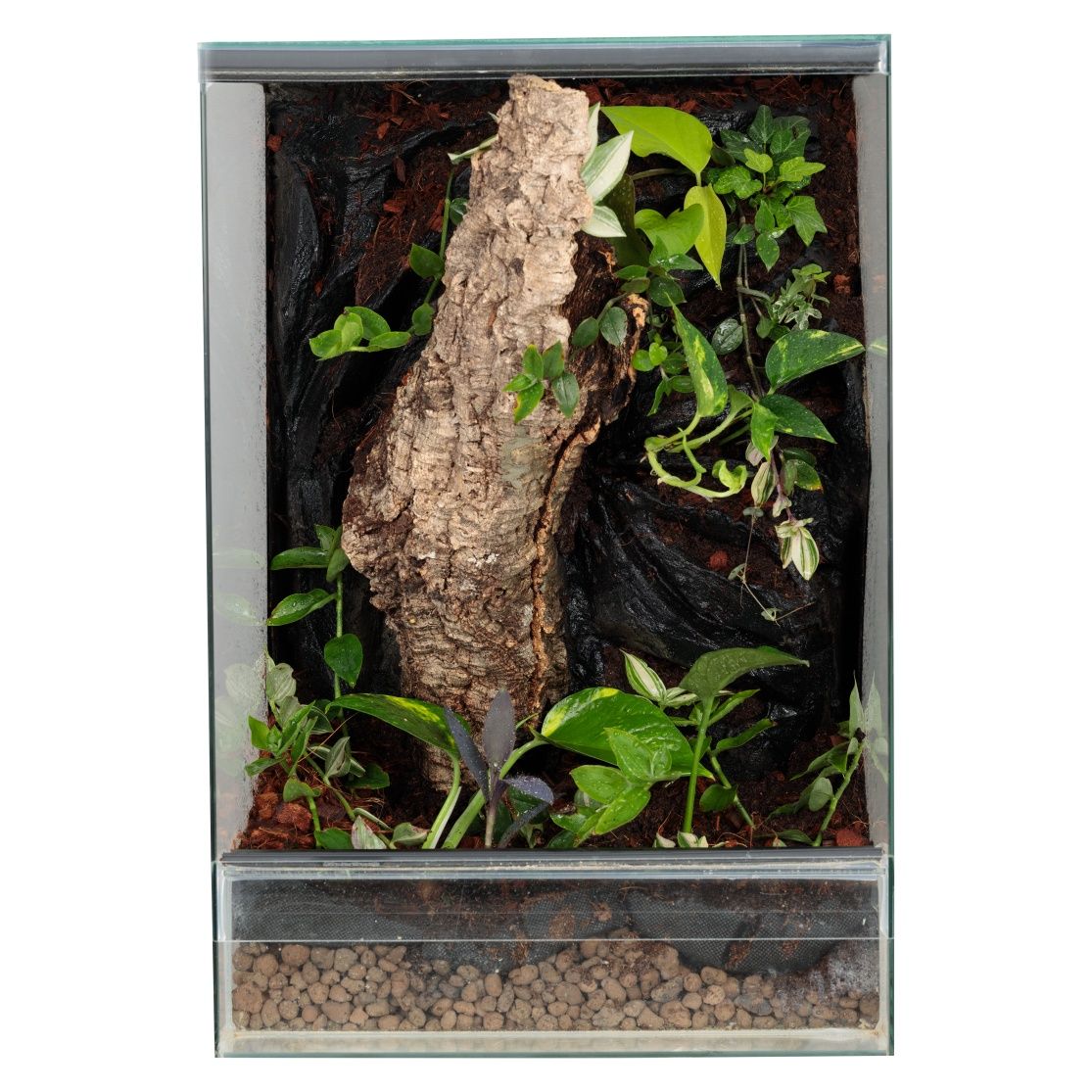 Terrarium gekon paludarium vivarium