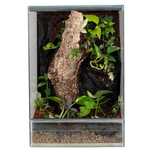 Terrarium gekon paludarium vivarium
