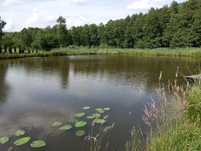 Olchowy domek wynajem