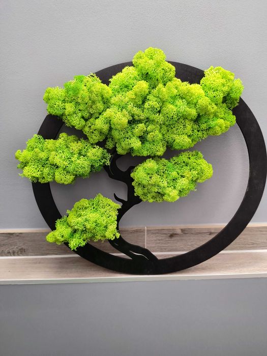 Drzewo bonsai - dekoracja, prezent chrobotek 40cm