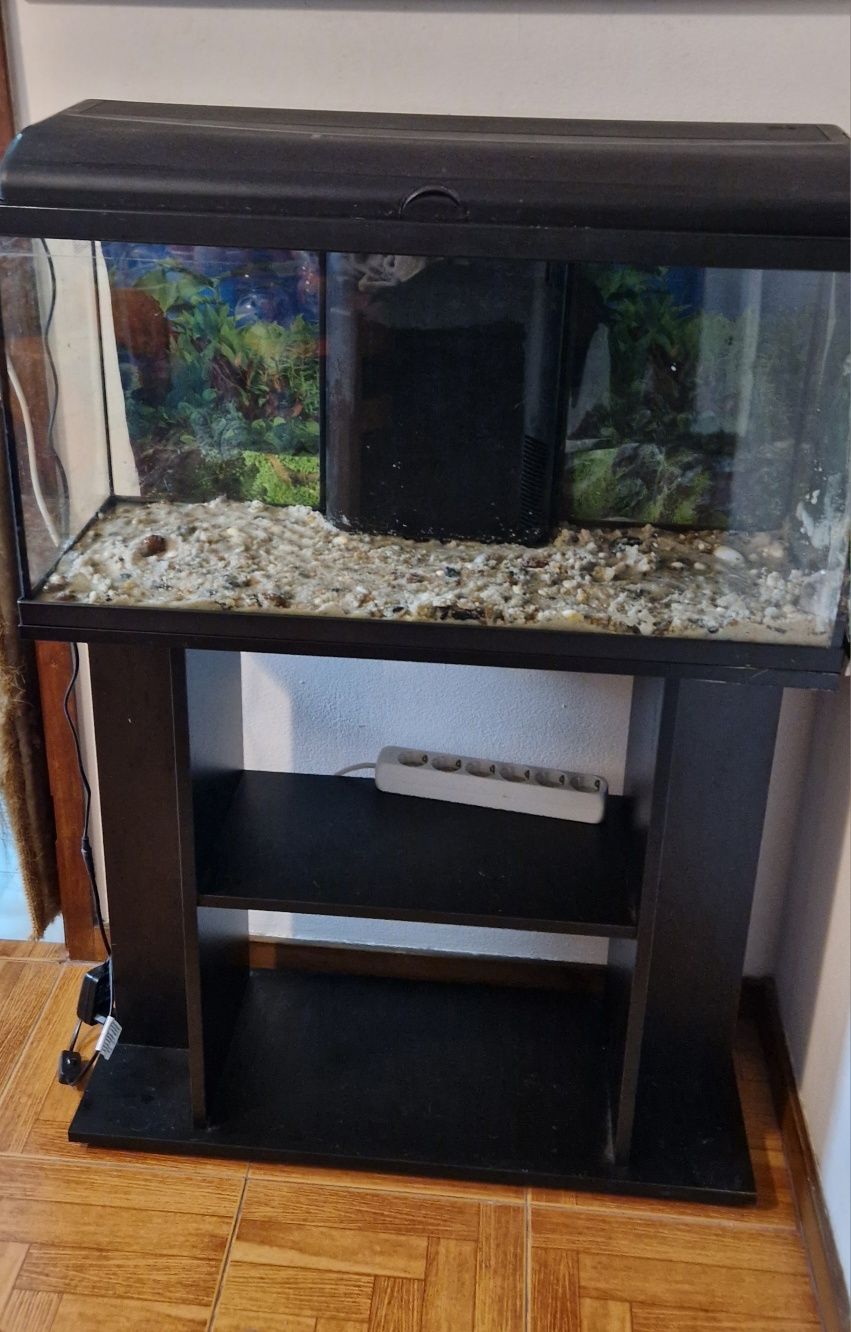 Aquário com movel 80 cm