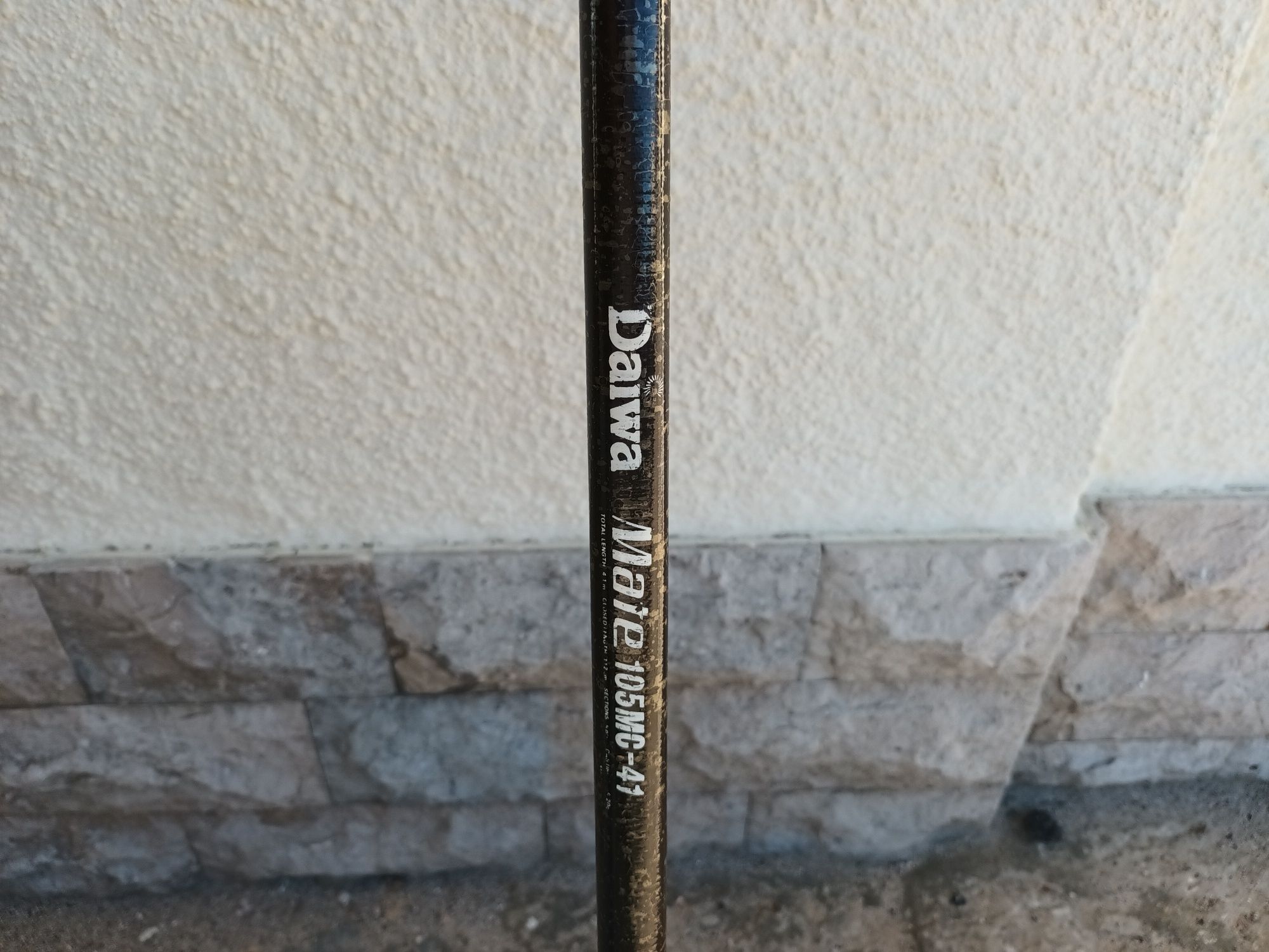 Cana de pesca Daiwa 4,10 m