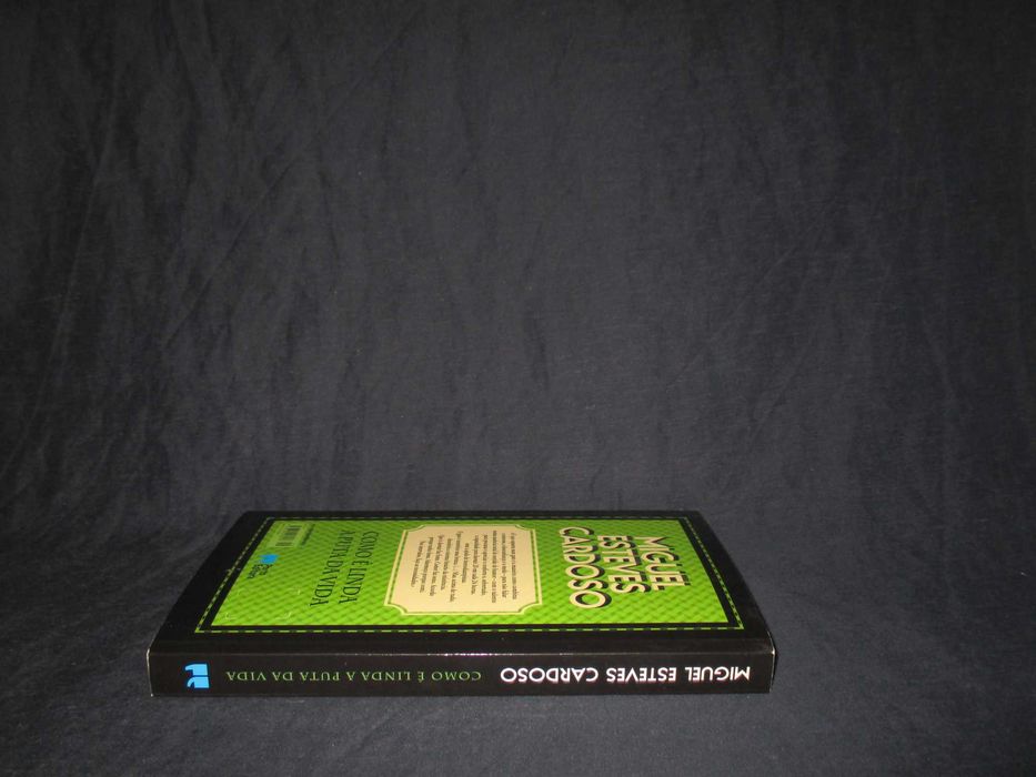 Livro Como é linda a puta da vida Miguel Esteves Cardoso