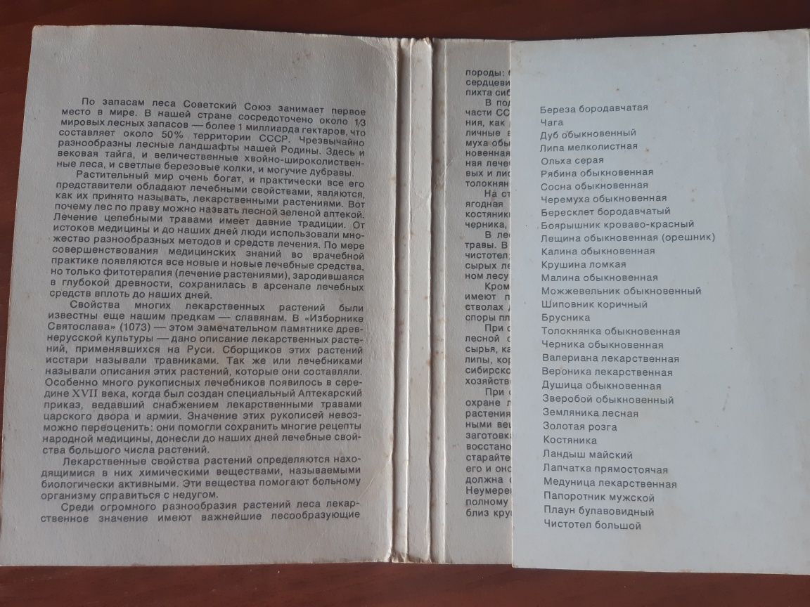 Лекарственные растения леса