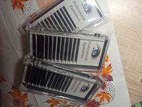 Rzęsy Profesional Eyelashes.