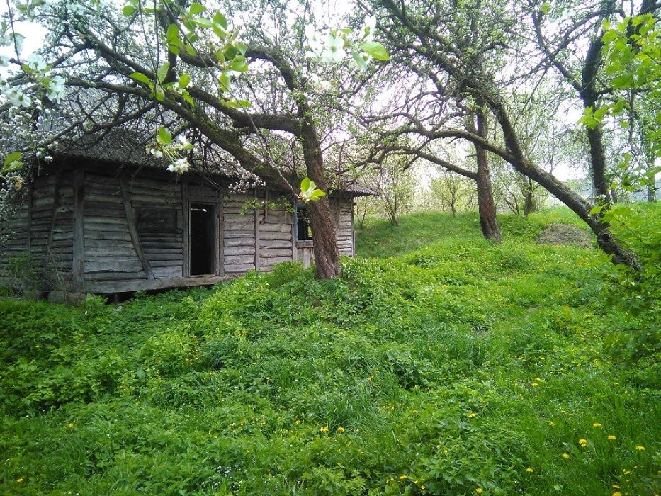 Продам ділянку в с.Боднарів Івано Франківська область калуський район