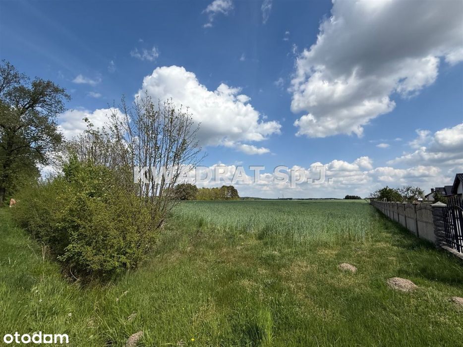 działka budowlana Zajączki gm. Ostrzeszów
