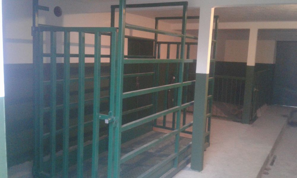 Byk rasy Polska Czerwona z Zasobów Genetycznych