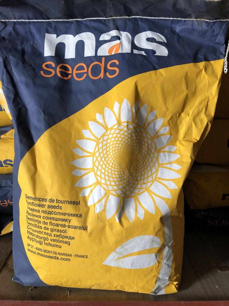 Насіння соняшника, семена подсолнуха, Mas 81.K, Mac 81.K, Екстракорн