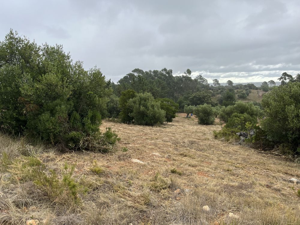 Terreno Rustico - Pedrogao - Serra de Aire e candeeiros