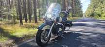 Honda shadow 1100