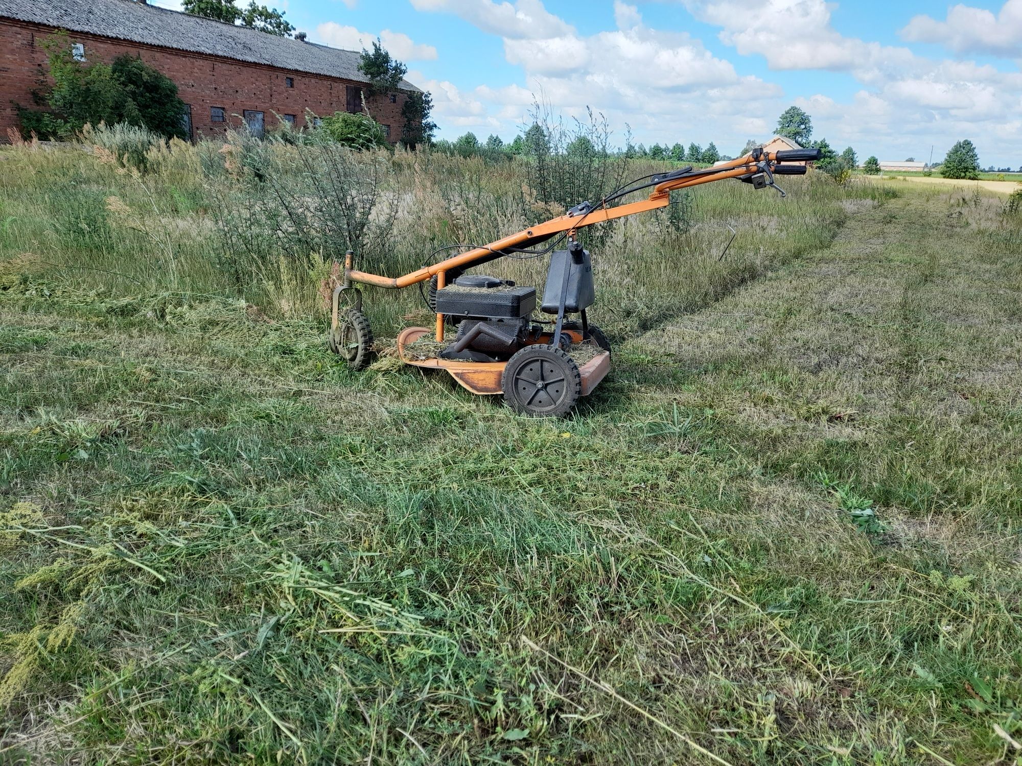 Koszenie karczowanie wykaszanie terenów działek