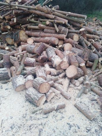 Drewno opałowe i kominkowe. Dowóz Wroc,Oleśn,TrzebOława.jelcz .Sroda.