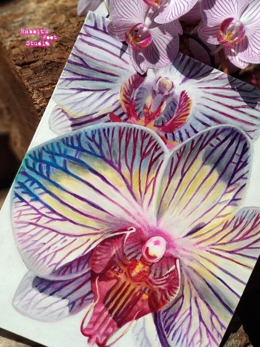 Orchidea (storczyk). Obraz akrylowy 24x30 cm.
