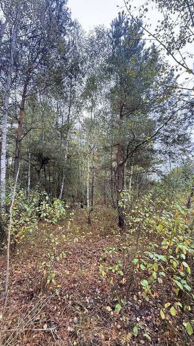 Продаж масиву землі під ЗАБУДОВУ біля Житомирської траси!