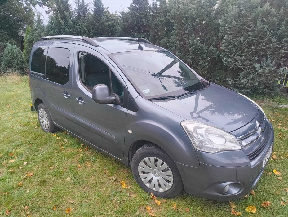 Citroen Berlingo Multispace