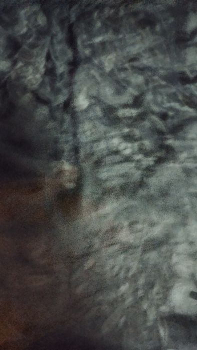 Mohito spódnica rozkloszowana