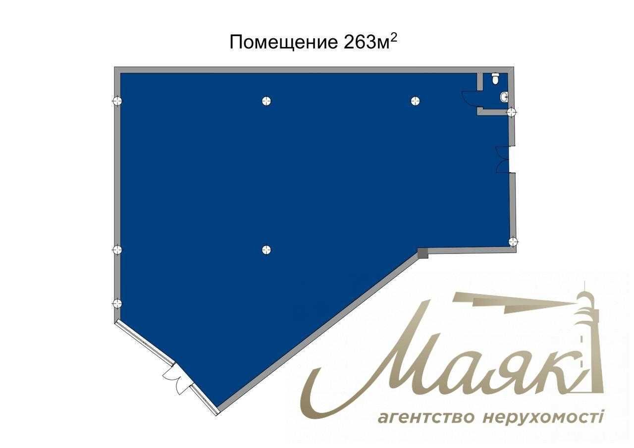 Оренда  приміщення 263м2, в 6-й черзі,  в ЖК Новопечерські Липки