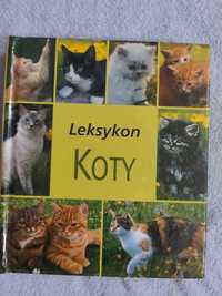 Leksykon - Koty - poradnik