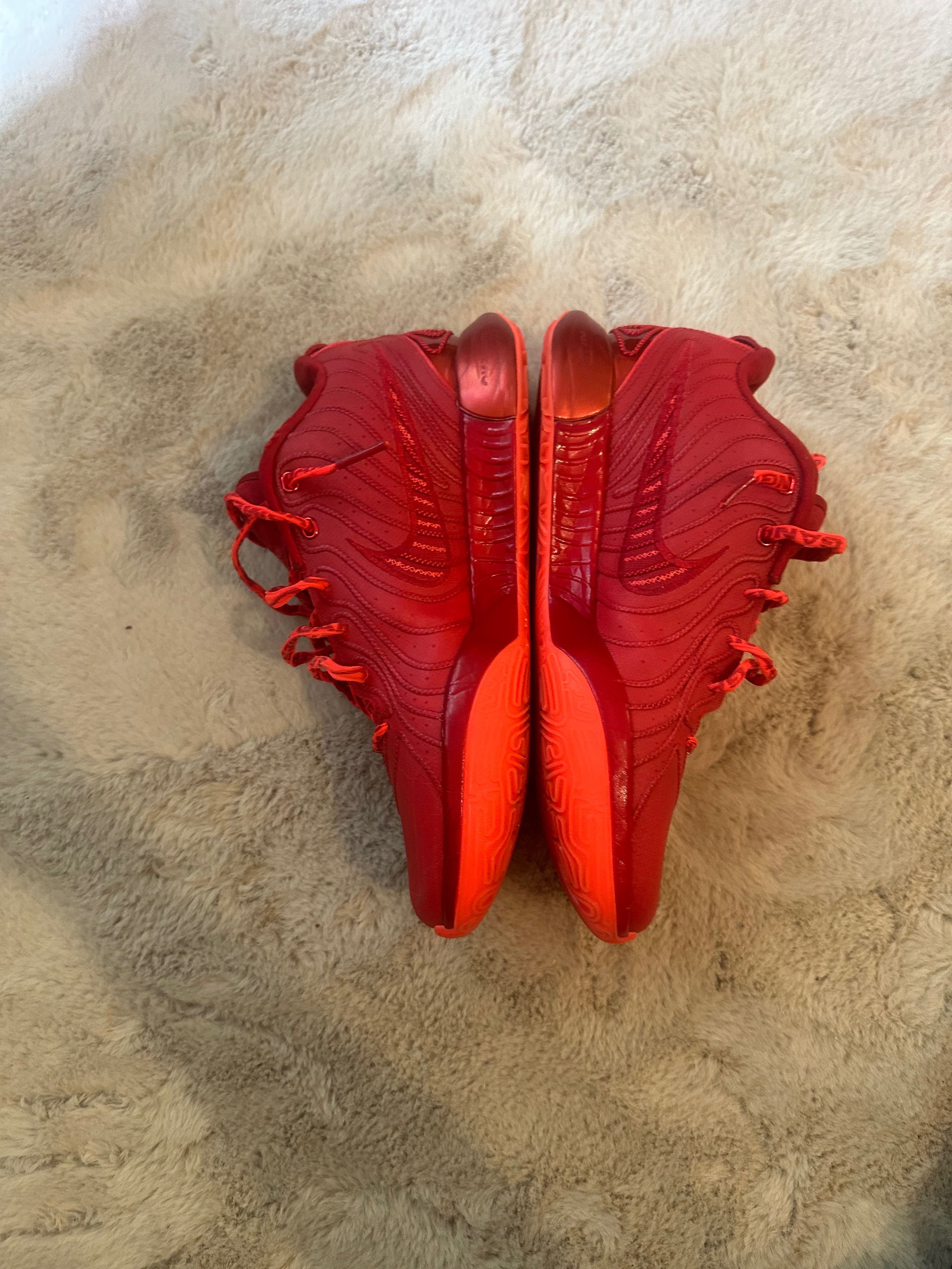 Nike LeBron 21 James Gang