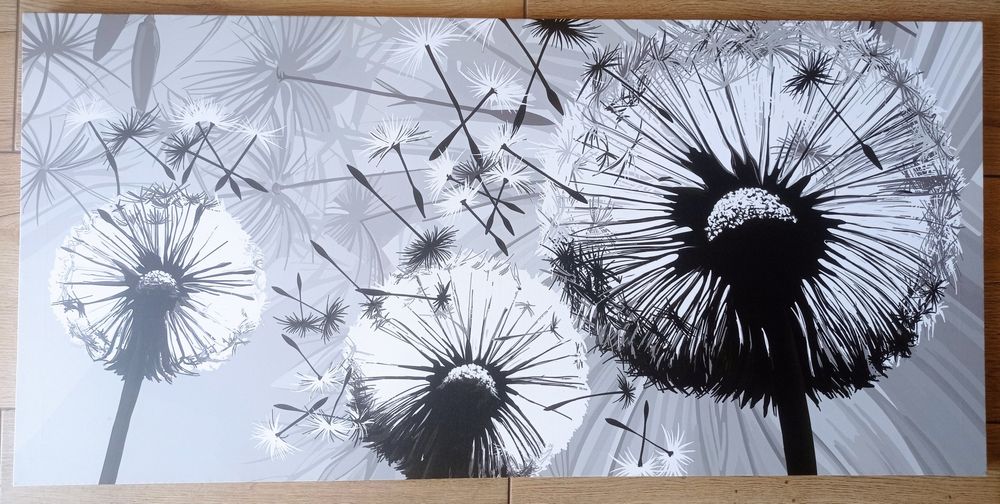 Obraz Dmuchawce 115x55cm