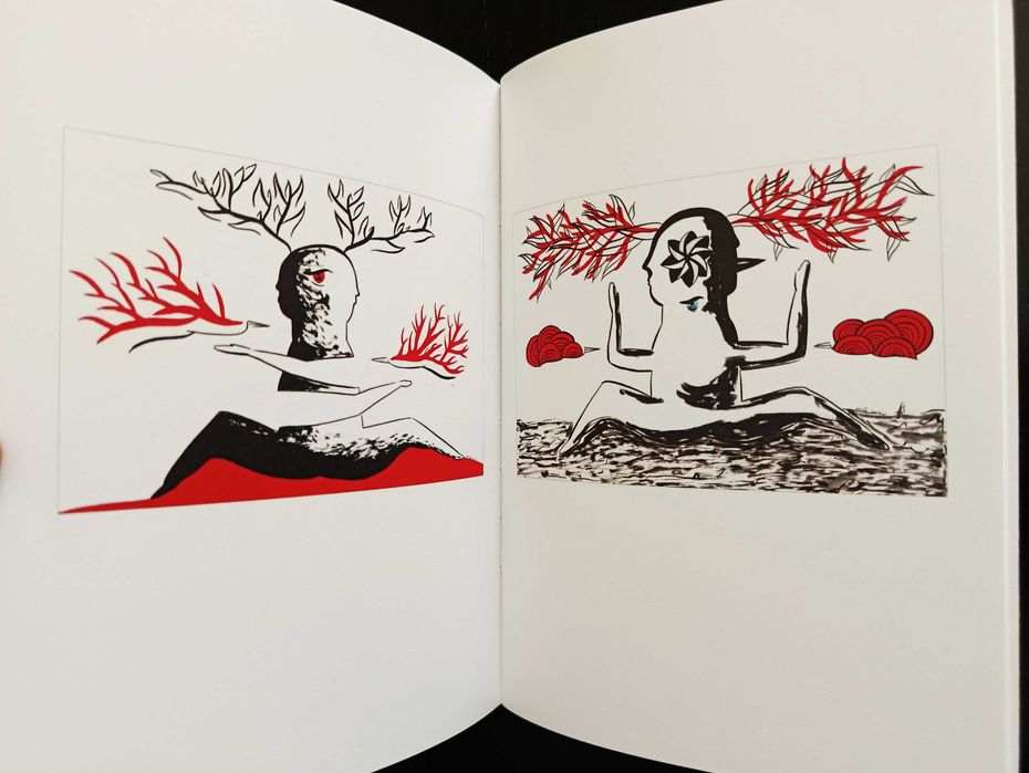 Valter Hugo Mãe | As Ilhas dos Abaeté