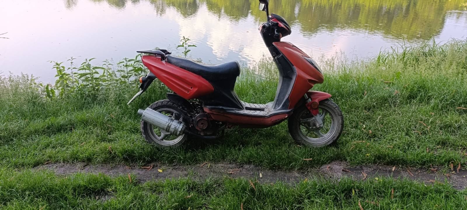 Скутер musstang 80кубів на документах
