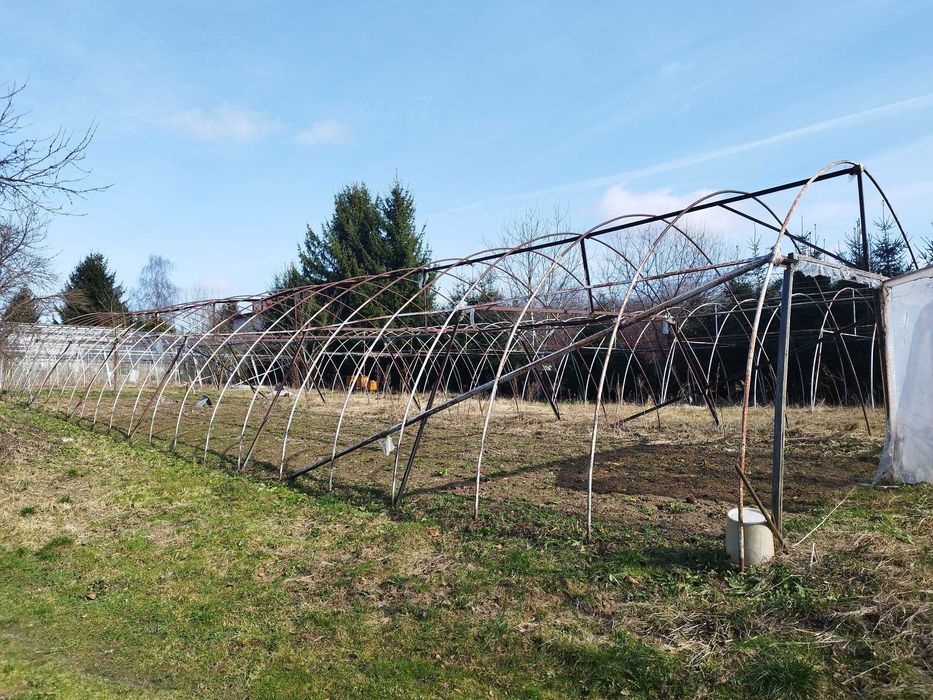 Tunel foliowy 7m x25m