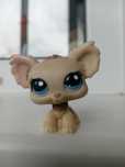 Littlest Pet Shop LPS чихуахуа