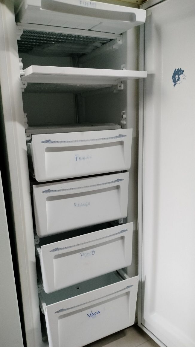 Arca vertical congeladora