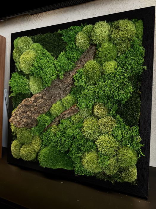 Obraz z mchu stabilizowanego 54×54