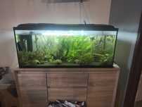 Akwarium 300l 120x50x50