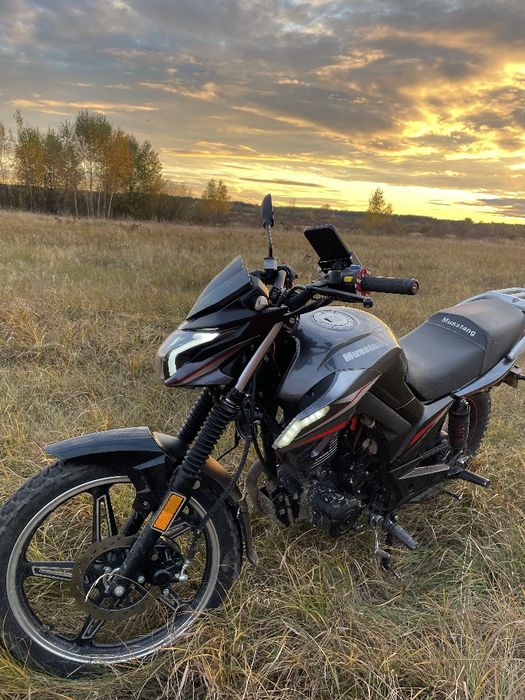 Мустанг фортуна 200