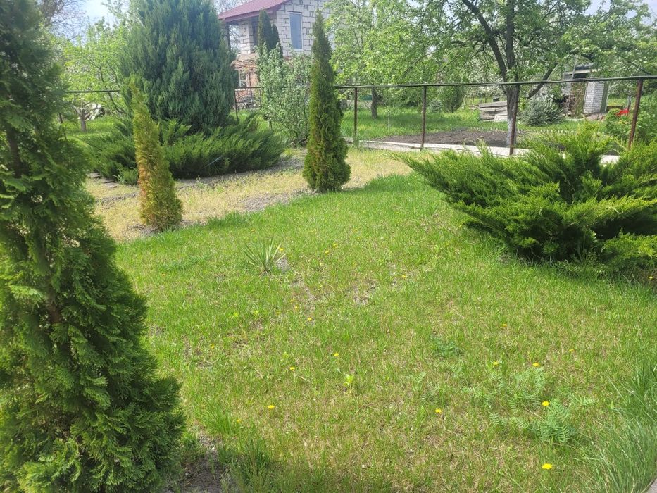 Продам дачу с. Балівка